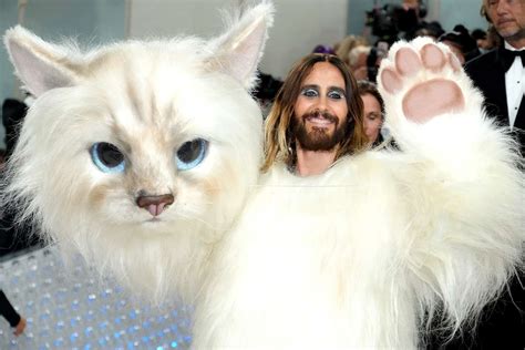 jared leto as choupette.